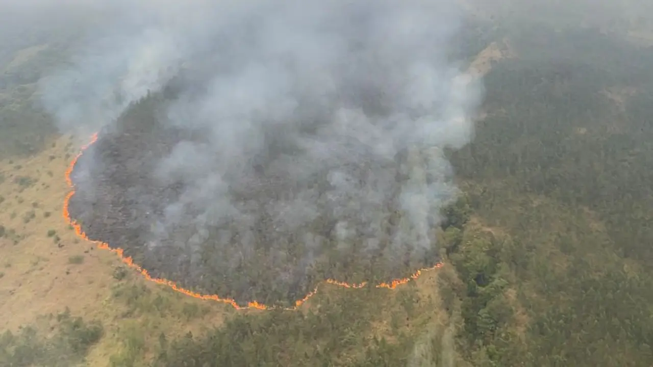 Kebakaran hutan di kawasan Gunung Arjuno. (Dian Kurniawan/Liputan6.com)