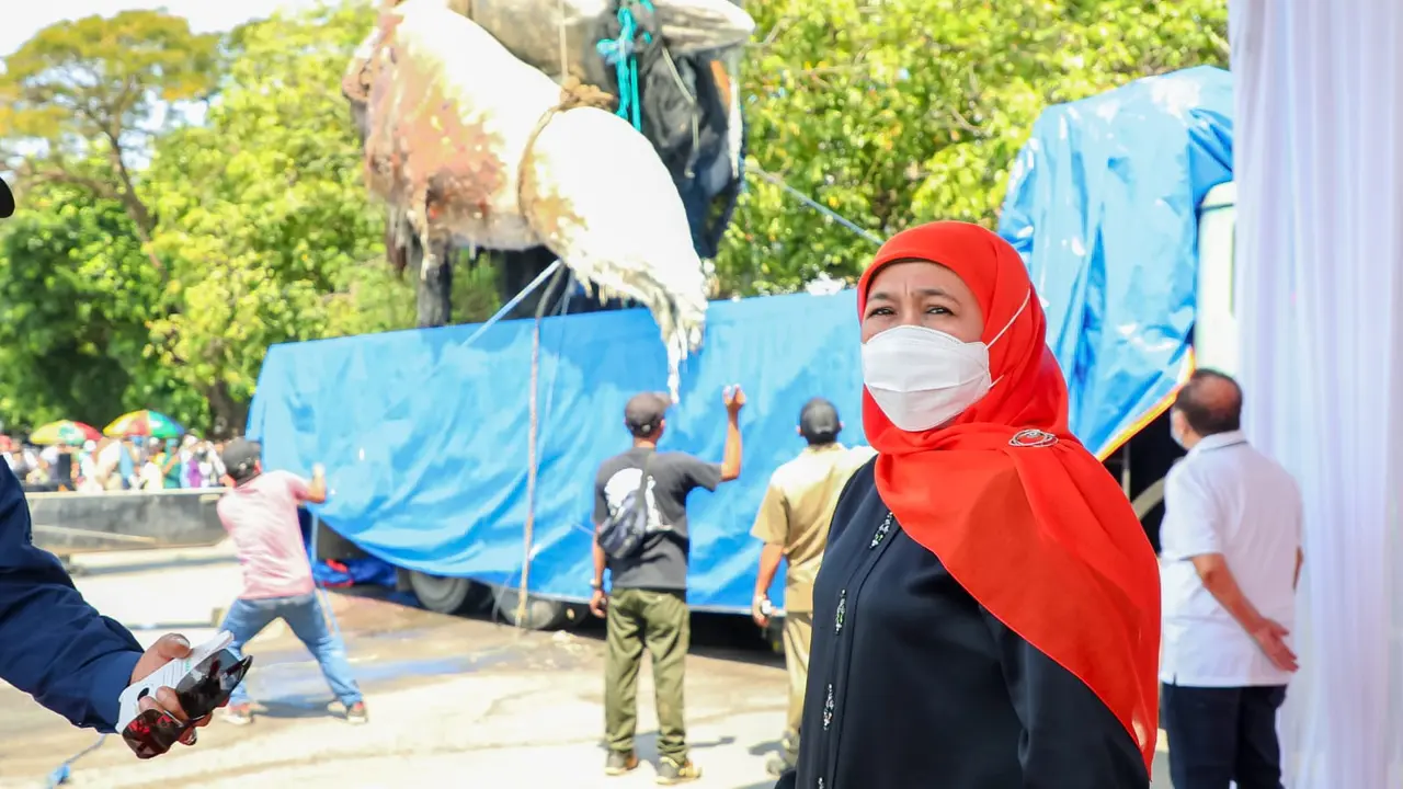 Khofifah menyaksikan proses evakuasi paus balin di Pantai Kenjeran Surabaya. (Istimewa)