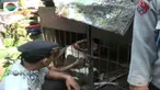 Diduga sang anjing kaget dan langsung menyerang korban saat akan menggambil mainan.