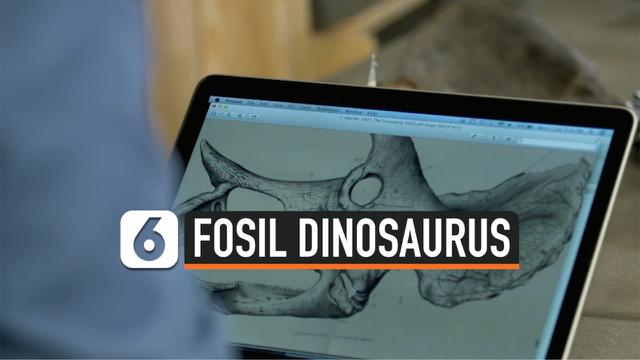 fosil dinosaurus