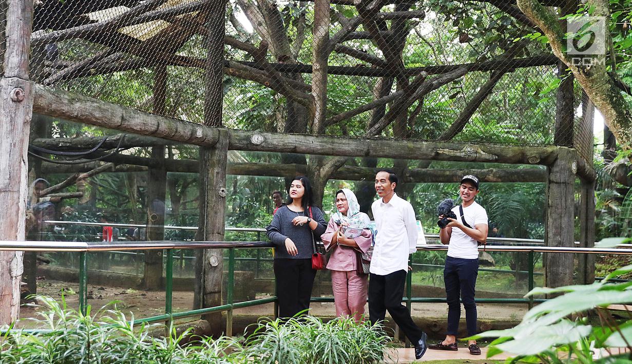 Presiden Joko Widodo beserta Ibu Negara Iriana Widodo dan dua anaknya Kaesang Pangarep dan Kahiyang Ayu saat mengunjungi Kebun Binatang Ragunan, Jakarta, Kamis (29/6). (Liputan6.com/Angga Yuniar)