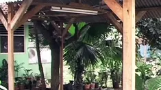 liputan6