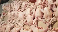 Harga Ayam Stabil, tapi Penjualan Menurun