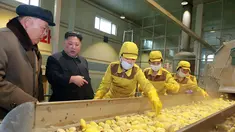Pemimpin Korea Utara Kim Jong-un melihat produksi kentang  di pabrik Samjiyon Potato Farina di Samjiyon, Kamis (4/4). Tahun lalu Kim Jong-un mengunjungi pabrik kentang saat kunjungan 19 harinya ke Samjiyon County di Provinsi Ryanggang yang berbatasan dengan China. (AFP Photo/KCNA VIA KNS)