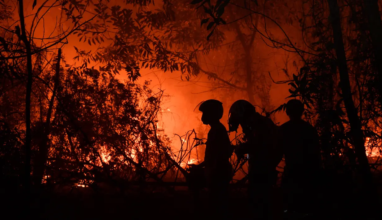 Petugas pemadam kebakaran memadamkan api saat kebakaran hutan dan lahan (karhutla) di Pekanbaru, Riau, Jumat (13/9/2019). Karhutla yang mengakibatkan kabut asap menyebabkan jarak pandang sampai titik terendahnya pada tahun ini, yakni hanya 300 meter saja. (ADEK BERRY/AFP)