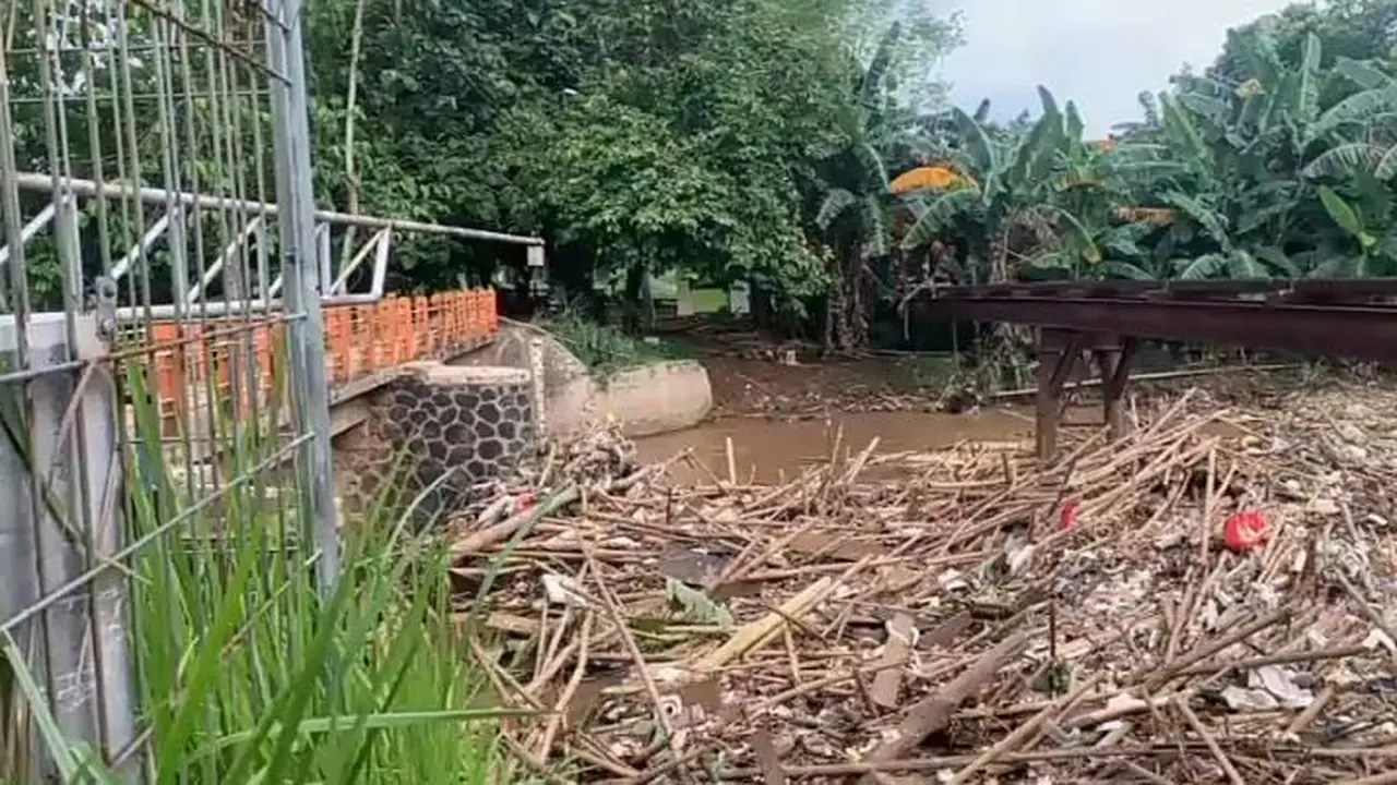 Puluhan ton sampah bambu dan kayu yang terbawa arus Kali Cikeas, menutupi Bendungan Koja, Jatiasih, Kota Bekasi. (Liputan6.com/Bam Sinulingga)