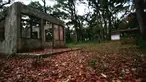 (Liputan6.com)