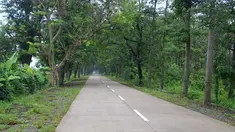 Citizen6, Indramayu: Jalan Sanca Cikamurang Indramayu, tapi di jalan haurgeulis Cikamurang via Gantar hancur, rusak dan berlubang. Tak sedikit truk pengangkut padi hasil panen terbalik melintasi jalan tersebut. (Pengirim:Tresna)