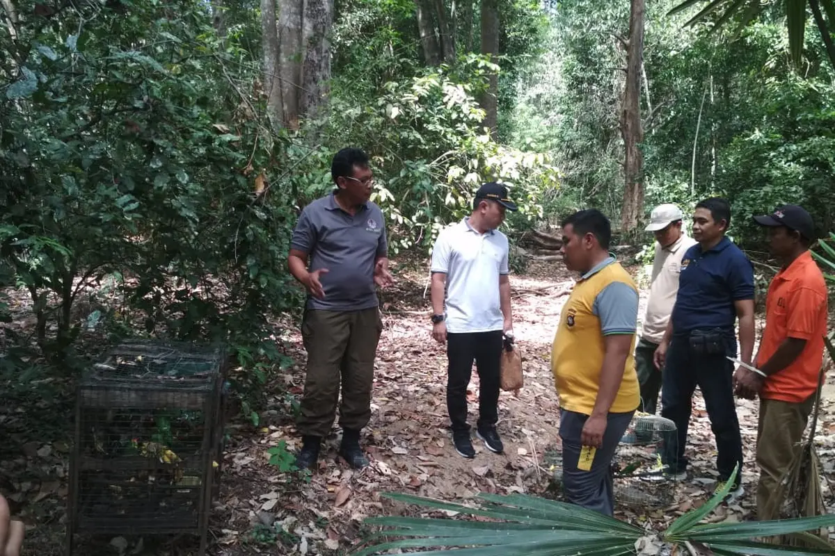 Burung Nuri di Cagar Alam Panua