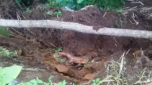Retakan kembali muncul di tebing sisi jalan tanjakan Sikelir, Dusun Clibikan, Wanayasa Kecamatan Wanaya, Banjarnegara. (Foto: Liputan6.com/BPBD Banjarnegara/Muhamad Ridlo)