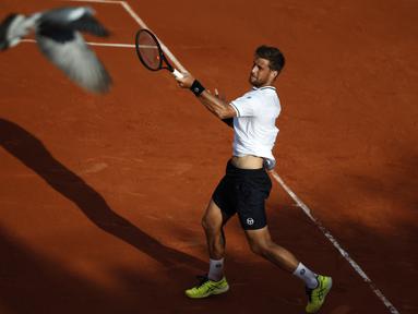 Seekor burung terbang melintasi lapangan tenis saat Martin Klizan melawan Gael Monfils pada ajang Prancis Terbuka 2018 di Roland Garros stadium, Paris, France, (30/5/2018). (AP/Christophe Ena)