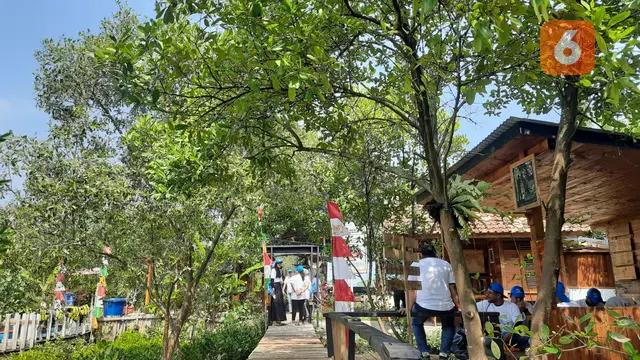 Suasana Rindang Hutan Mangrove Patikang Di Kabupaten Pandeglang, Banten. (Rabu, 26/07/2023). (Yandhi Deslatama/Liputan6.com).