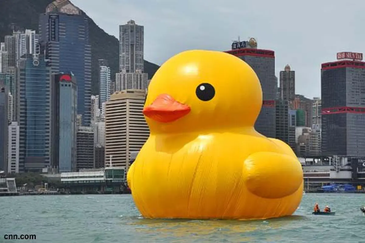 Bebek jumbo berenang di pelabuhan di Hong Kong. (YouTube)