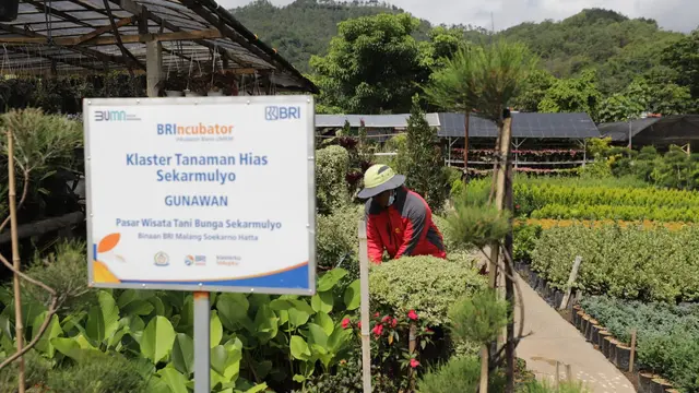 Dukung Ekonomi Hijau, BRI Torehkan Portofolio Sustainable Finance Rp796 Triliun Terbesar di Indonesia