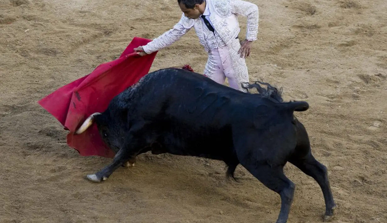 Matador asal Kolombia, Luis Bolivar beraksi di arena adu banteng Canaveralejo di Cali, Kolombia, Senin (29/12/2014). (AFP Photo/Luis Robayo)