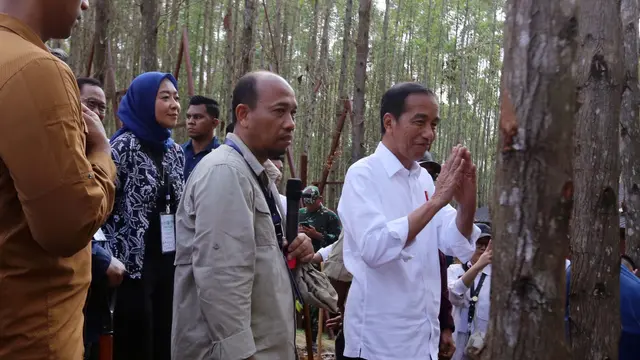 Presiden Joko Widodo (Jokowi) telah melakukan penanaman pohon di lokasi Miniatur Reforestrasi Hutan Tropis, Kawasan Ibu Kota Nusantara (IKN).
