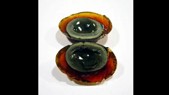 Foto: copyright openjourney.com