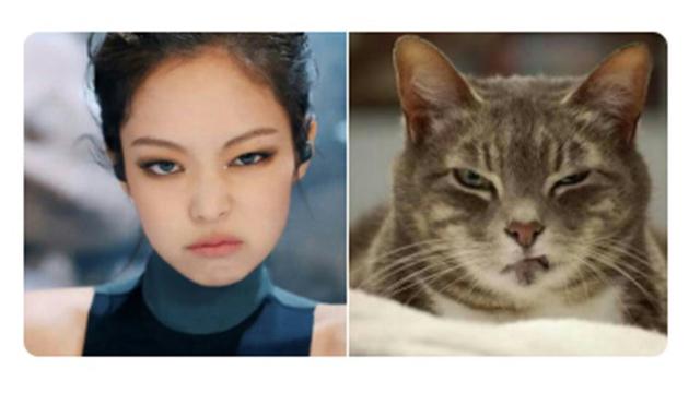 Ekspresi Jennie (Sumber: Twitter: /jenniesofty)