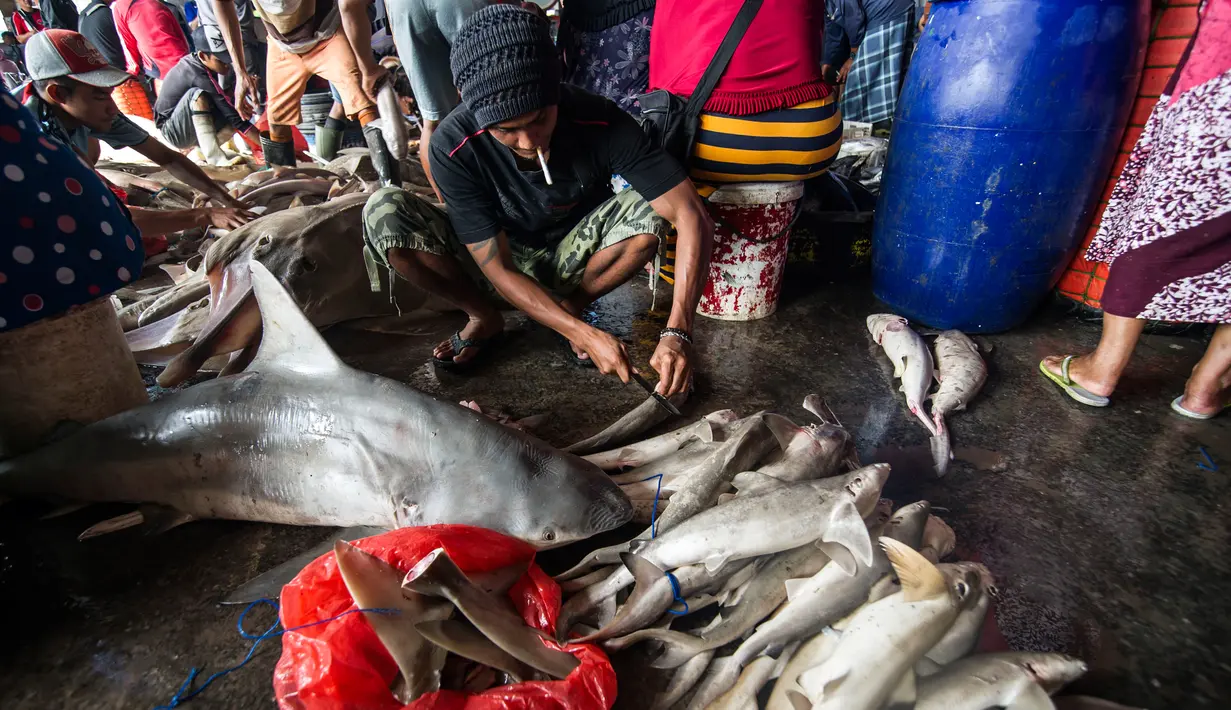 Nelayan saat memotong ikan hasil tangkapannya, termasuk hiu, di sebuah tempat pelelangan ikan di Brondong, Lamongan, Jawa Timur, Senin (13/3). (AFP Photo/Juni Kriswanto)