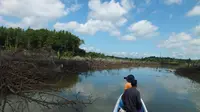 Kondisi hutan Mangrove di DAS Wain Kelurahan Kariangau, Balikpapan Barat yang dirusak oleh oknum perusahaan. (Liputan6.com)
