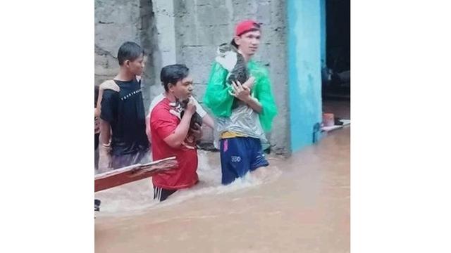 Potret Evakuasi 6 Kucing saat Banjir Ini Bikin Haru