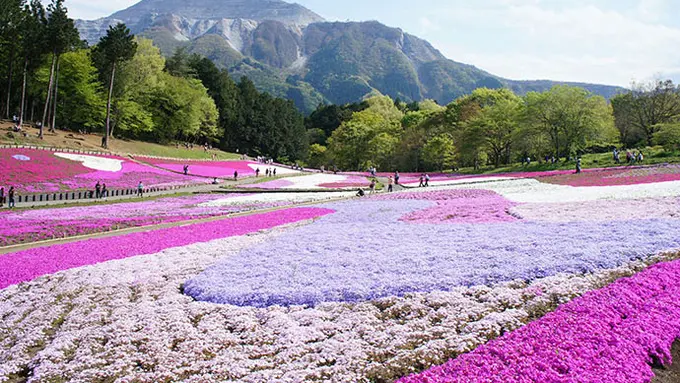 Potret Eksotisme Tempat-tempat Paling Berwarna di Bumi