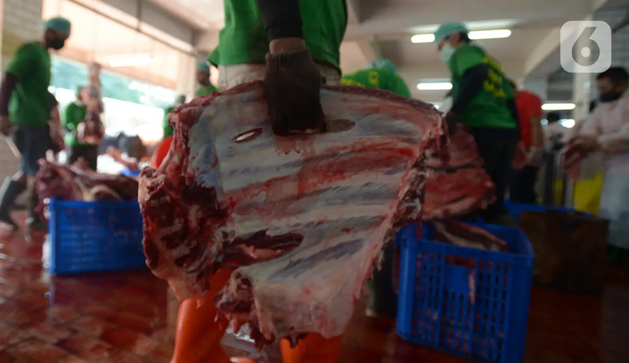 Panitia memakai sarung tangan saat memotong daging kurban di RPH Masjid Istiqlal, Jakarta, Sabtu (1/8/2020). Pemotongan hewan kurban yang terdiri dari 20 ekor sapi dan 15 ekor kambing dilakukan dengan menggunakan protokol kesehatan untuk mengantisipasi penyebaran Covid-19. (merdeka.com/Imam Buhori)