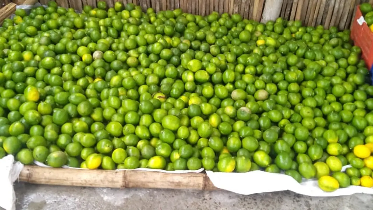 Melimpahnya pasokan tidak sebanding dengan serapan pasar, sehingga membuat harga jeruk California asal Garut jatuh.