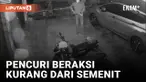 vertical semenit