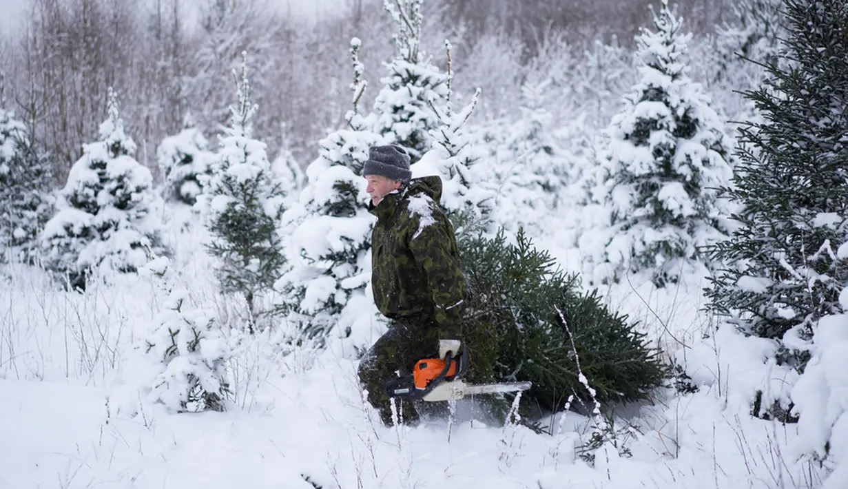 Tanggal 22 Desember adalah hari terpendek dalam setahun di Estonia. Seperti di banyak belahan dunia lainnya, pepohonan yang diselimuti lampu menerangi rumah dan alun-alun kota selama titik balik Matahari musim dingin dan perayaan Natal sesudahnya. (AP Photo/Pavel Golovkin)