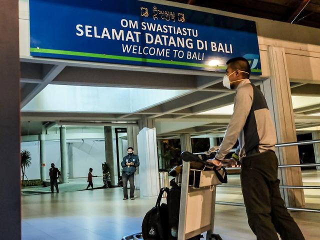 Detail Layanan Rapid Test Antigen Di Bandara Ngurah Rai Lifestyle Liputan6 