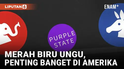 VIDEO: Warna-Warni Politik Negara Bagian AS- Merah, Biru, dan Ungu