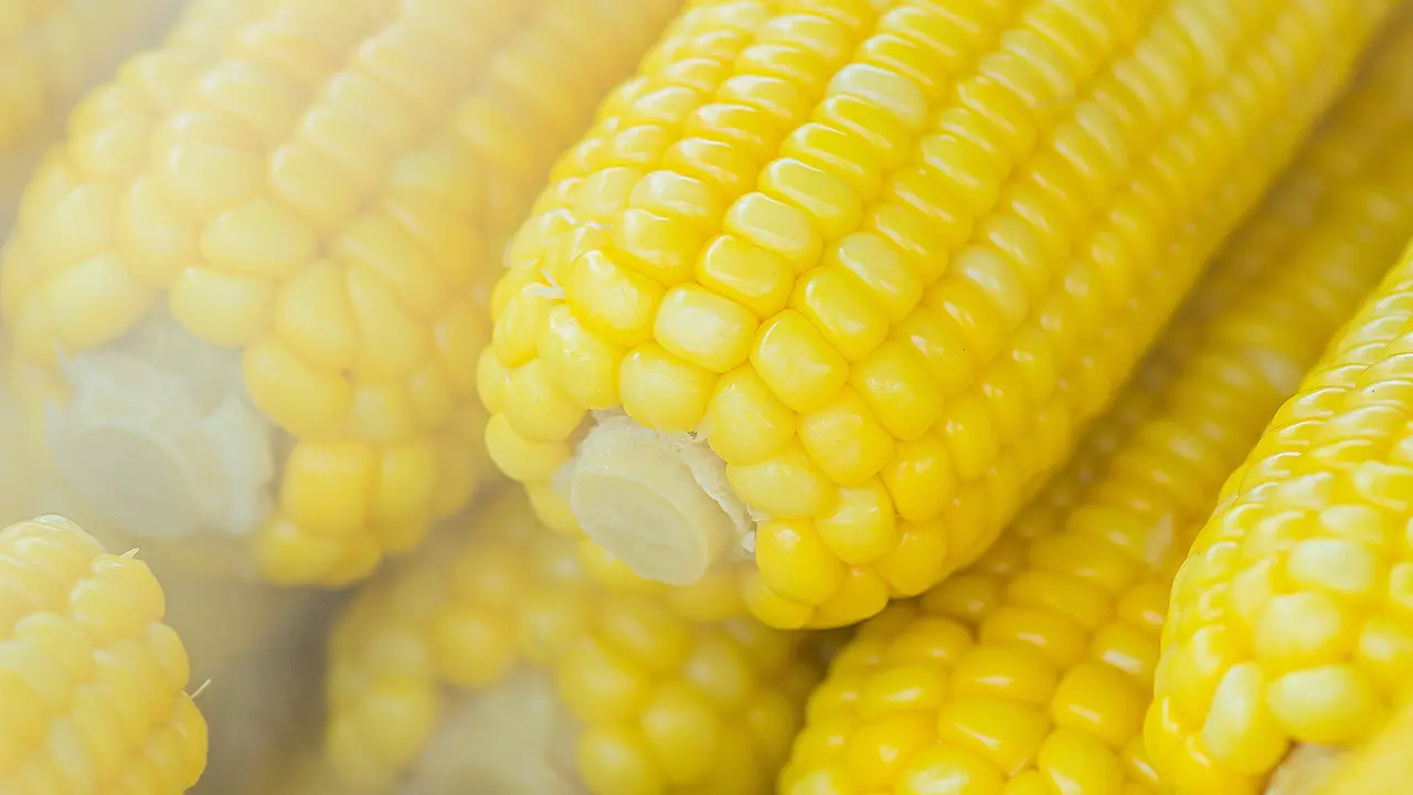 DIY Masker Pati Jagung, Tuntaskan Masalah Jerawat Buat Wajah Cerah dan Awet Muda