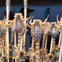 ilustrasi/copyright pixabay.com/deluxtrade