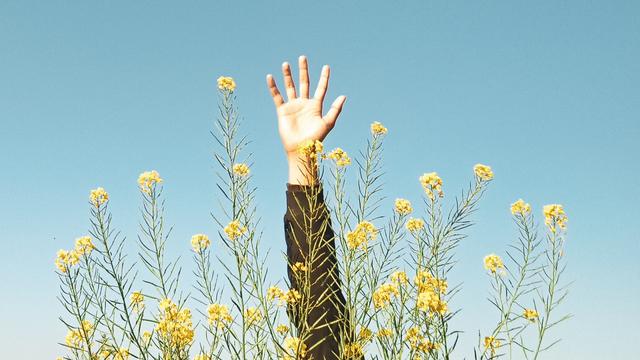 Ilustrasi estetik, estetika