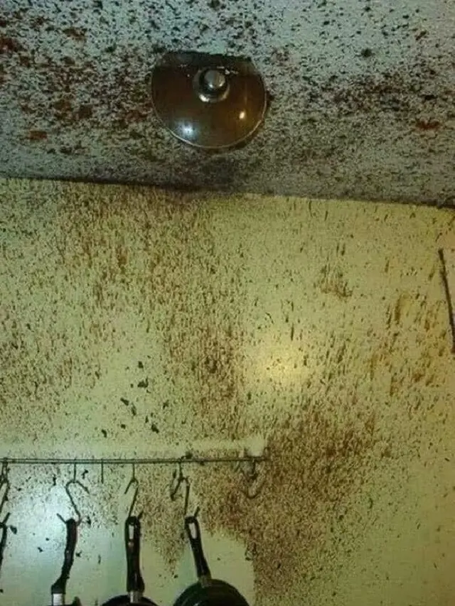Kocak, Begini Bencana yang Sering Terjadi Saat Belajar Masak