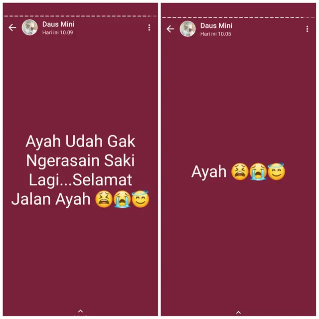 Daus Mini
