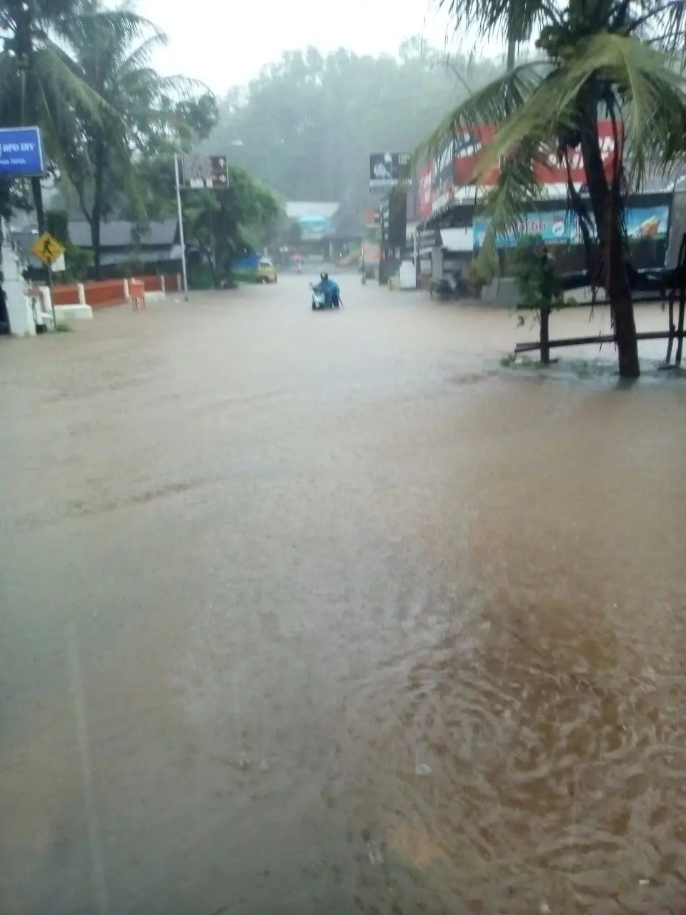 Jalan terputus akibat tingginya genangan air banjir di Pacitan. (foto: Liputan6.com/BNPB/edhie prayitno ige)