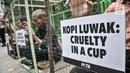 Aktivis People for the Ethical Treatment of Animals (PETA) mengurung diri di dalam kandang saat aksi teatrikal mengecam eksploitasi luwak untuk kepentingan produksi kopi di depan Kantor Kementerian Lingkungan Hidup dan Kehutanan (KLHK), Jakarta, Rabu (25/1/2023). Aktivis PETA mengurung diri di dalam kandang sebagai bentuk protes dan mendesak pihak berwenang melarang peternakan luwak untuk kepentingan produksi kopi. (merdeka.com/Iqbal S Nugroho)