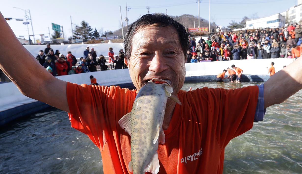 Seorang peserta berpose dengan ikan dengan saat acara Festival Es di sungai Hwacheon yang membeku di Korea Selatan, Sabtu (14/1). (AP Photo/Ahn Young-joon)