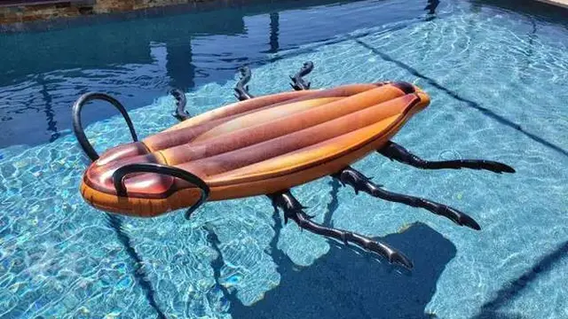 6 Desain Lucu Ban Pelampung Kolam Renang Ini Nyeleneh Banget