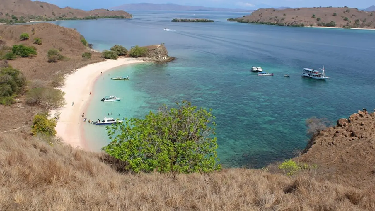 Turis Korea Selatan Meninggal Dunia Usai Diving di Kawasan TN Komodo Labuan Bajo . (Liputan6.com/ Ahmad Ibo).