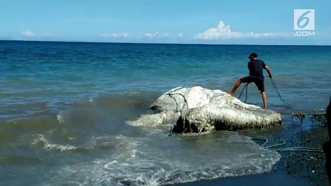 Video Makhluk Laut Misterius Terdampar Di Pantai Filipina Global Liputan6 Com