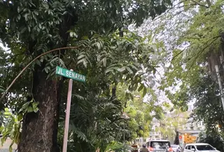 Bagi sebagian warga, deretan gundukan tanah kecil di sudut taman Jalan Senayan menyimpan kisah tak biasa, makam kucing yang dikelola dengan penuh ketulusan. (Liputan6.com/Shabina Nasywa Mufti)