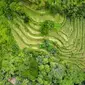 Tagalang Ubud (Sumber: Pexels)