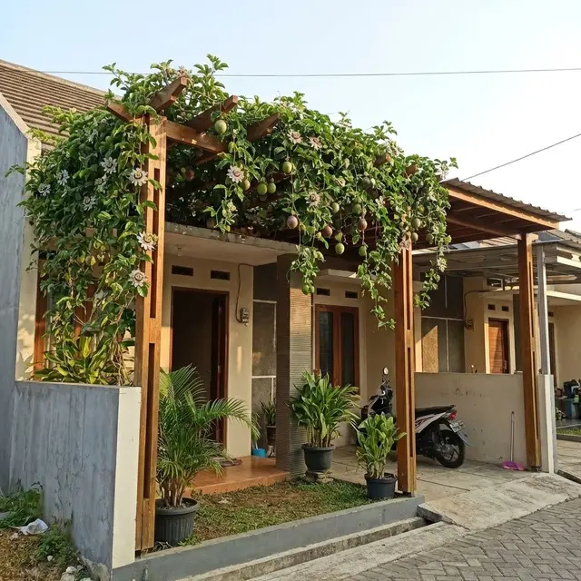 Rumah dengan peneduh Passiflora (Bunga Markisa) (Gemini AI)