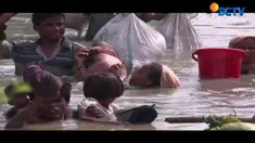 Kekejaman tentara Myanmar menyebabkan sekitar 150 ribu etnis Rohingya mengungsi ke Bangladesh dan ratusan lainnya dilaporkan tewas.