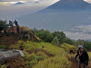 Wisatawan saat melakukan pendakian Gunung Sindoro via Jalur Alang-Alang Sewu, Kertek, Wonosobo, Jawa Tengah, Sabtu (11/9/2021).Wisata pendakian Gunung Sindoro kembali dibuka pasca meredanya kasus Covid-19 di Jawa-Bali yang memasuki PPKM Level 3. (merdeka.com/Iqbal S Nugroho)