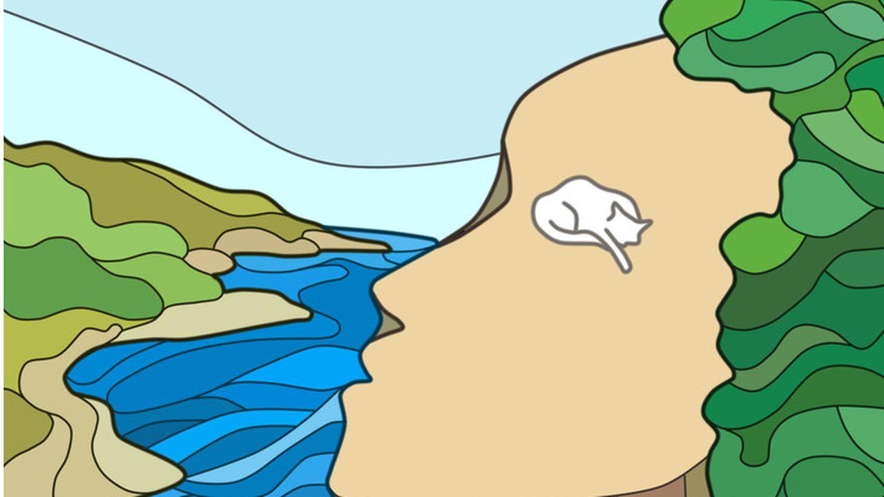 Tebing, Wajah, atau Kucing, Objek Pertama Dilihat Ungkap Kepribadianmu Lebih Dalam