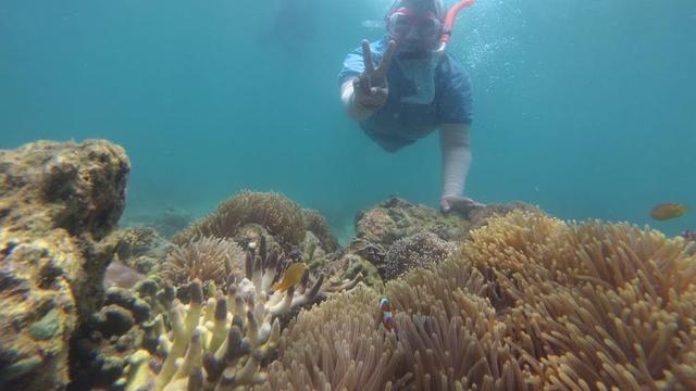 Wisata Snorkeling Gili Ketapang Dongkrak Ekonomi Warga